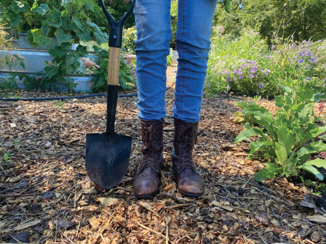 Turning What You Love to Do Into a Business Image